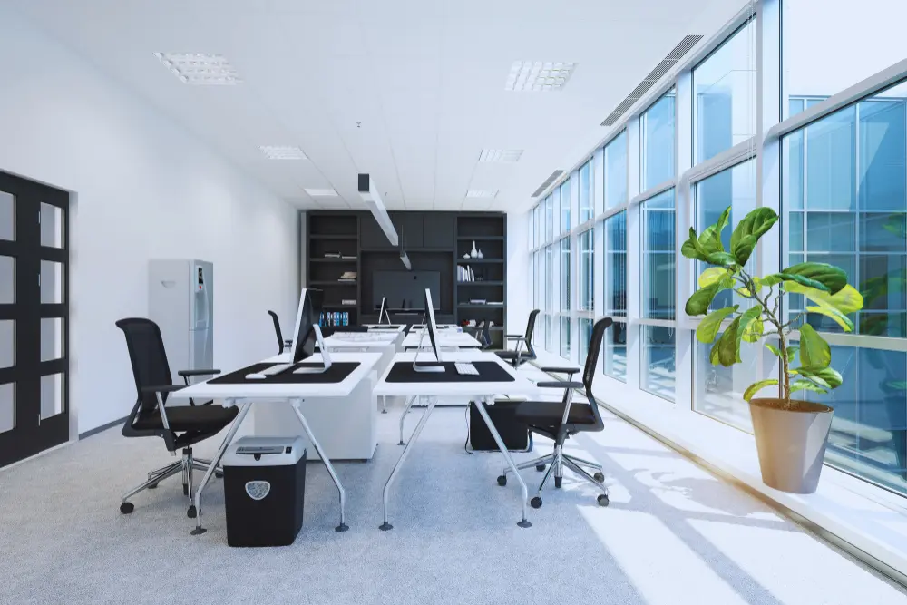 Branch Office vs Representative Office in Indonesia